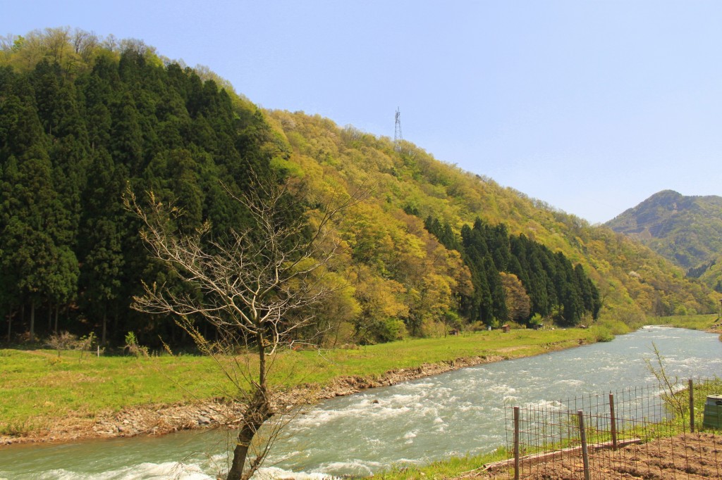 5月3日(日)〜6日(水)は休業日とさせて頂きます。