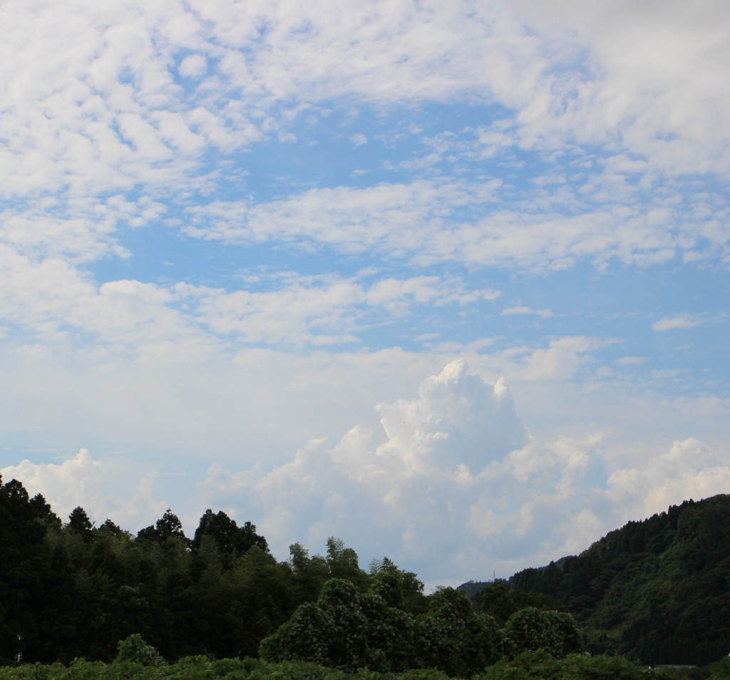 8月13日(日)〜16日(水)は夏季休業日とさせて頂きます。